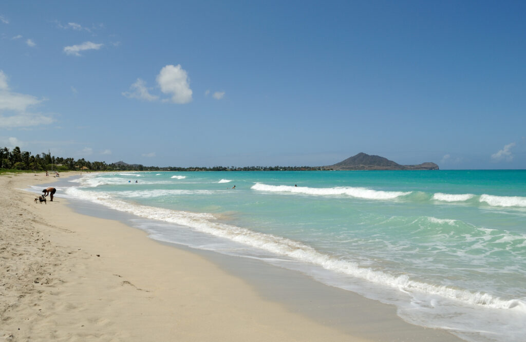 Looking north along Kailua Beach's long sandy shoreline on Oʻahu