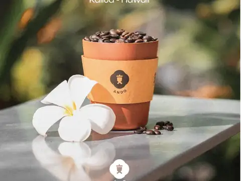 Iced latte at ANDO Cafe in Kailua, Oʻahu