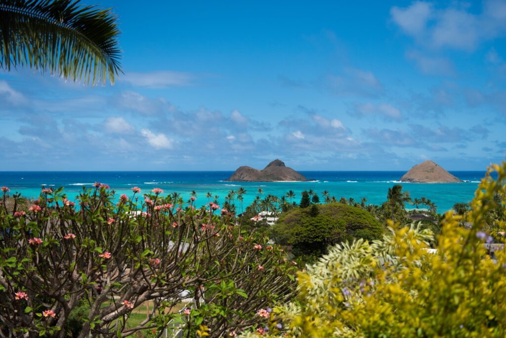 Mokulua Islands view over blooming plumeria from Kehaulani Ridge
