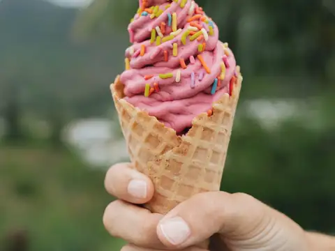 Real fruit ice cream cone at Perfect Day Ice Cream in Kailua, Oʻahu