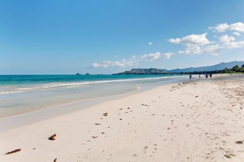 Place in Paradise